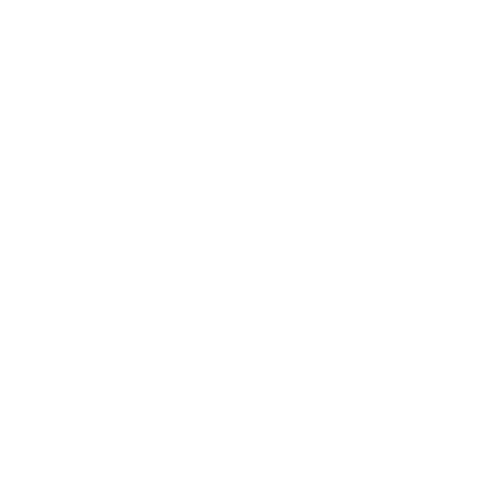 Diagnostic Icon