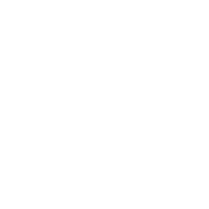 Estimate Icon