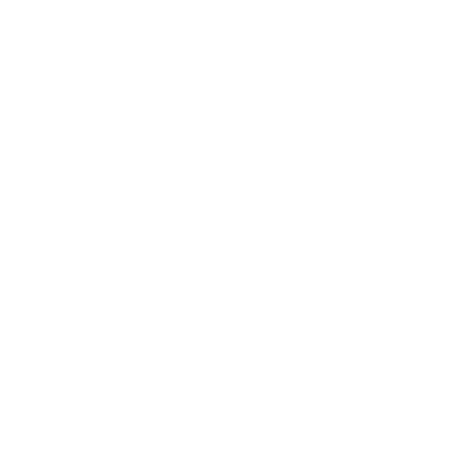 rheem white